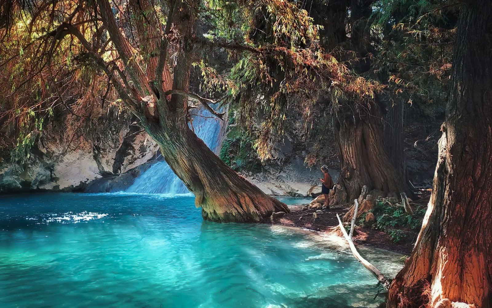Cascada Apoala